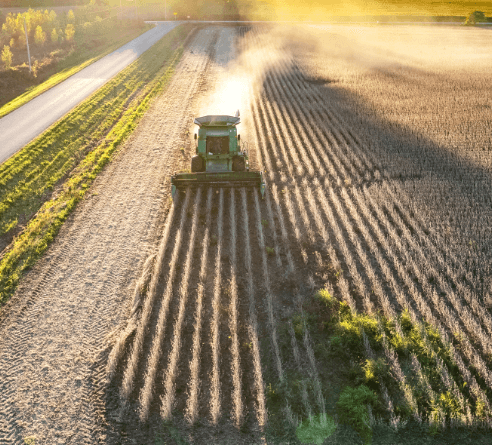 A large piece of farm equipment moves through rows in the field.